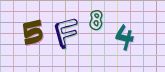 Captcha picture